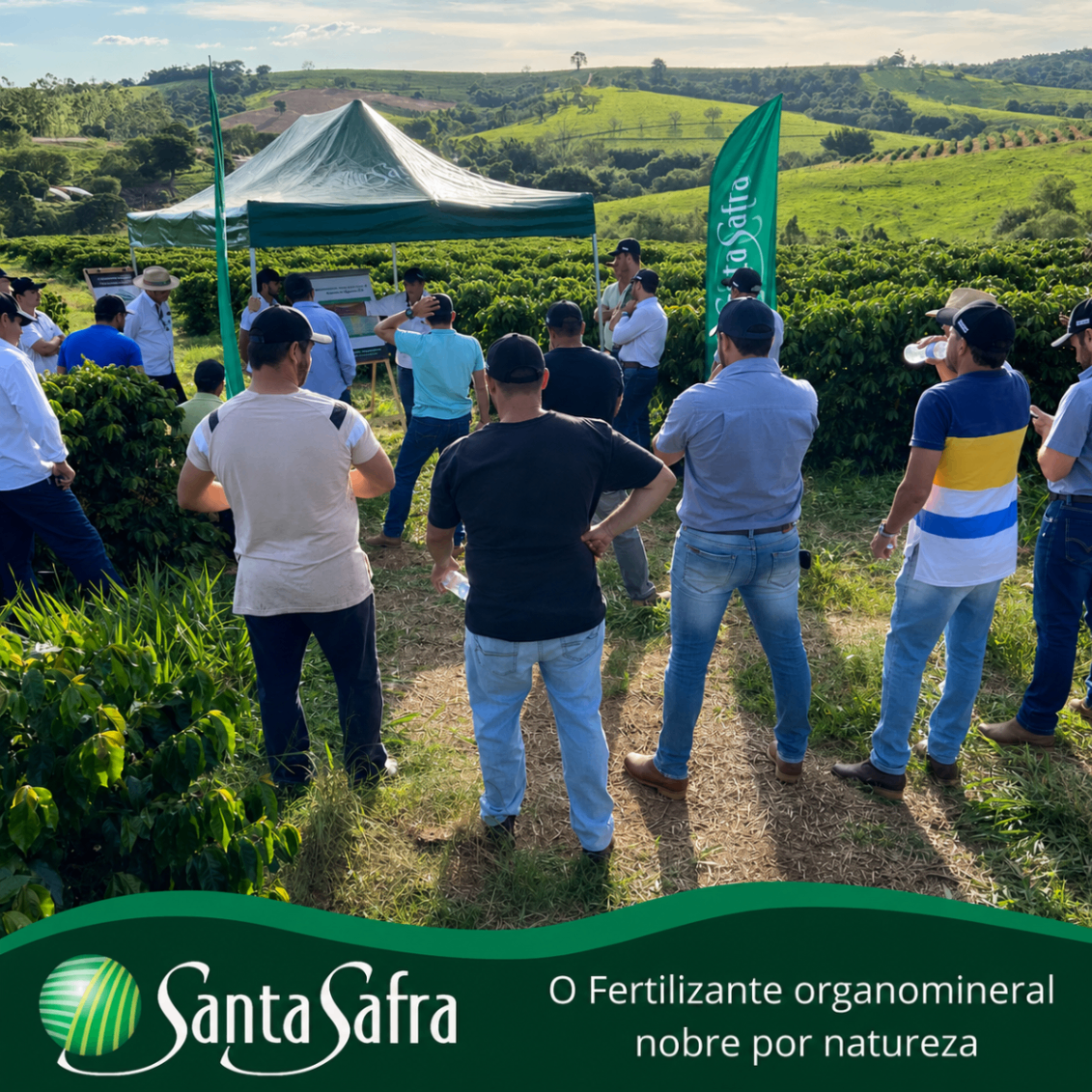 Lavoura com resultados SantaSafra 6