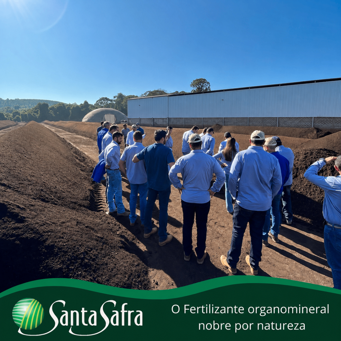 Lavoura com resultados SantaSafra 7